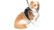 GPS Waterproof Puppy Tracking Device Rechargeable Collar Tracker Unit Size:XXL
